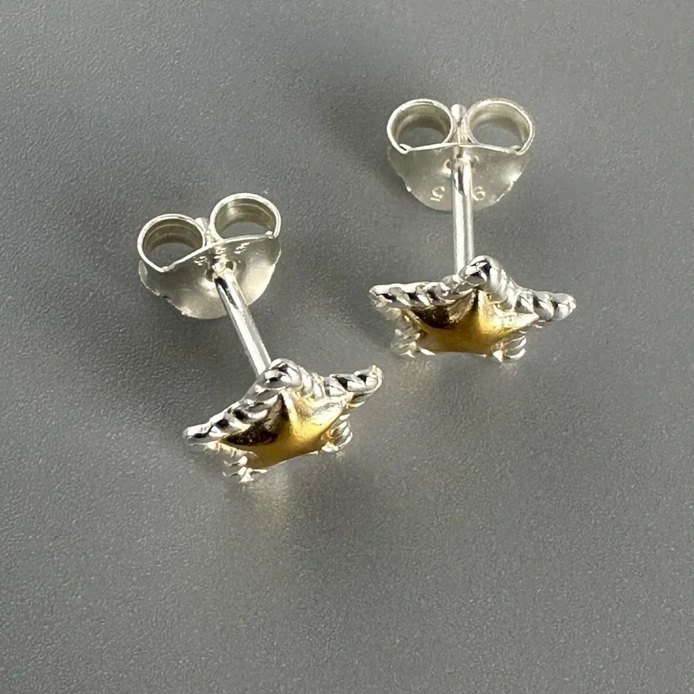 Sterling Silver Two Tone Tiny Star Studs